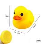 大黄鸭 - 图片 3