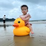 大黄鸭 - 图片 2